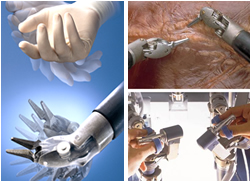 ���{�b�g��p