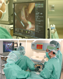 ���{�b�g��p